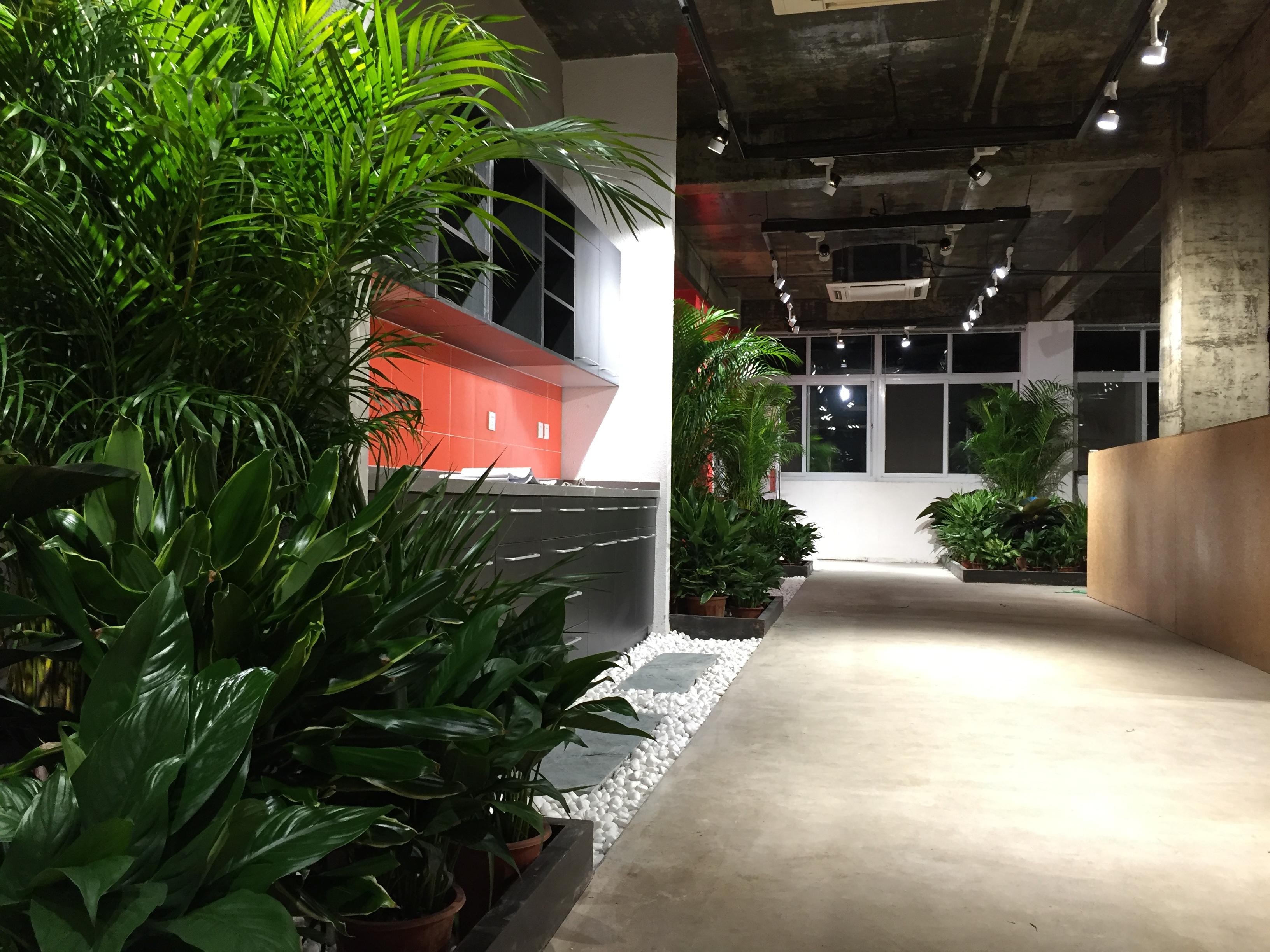 展厅设计之绿化布置 展厅设计之绿化布置