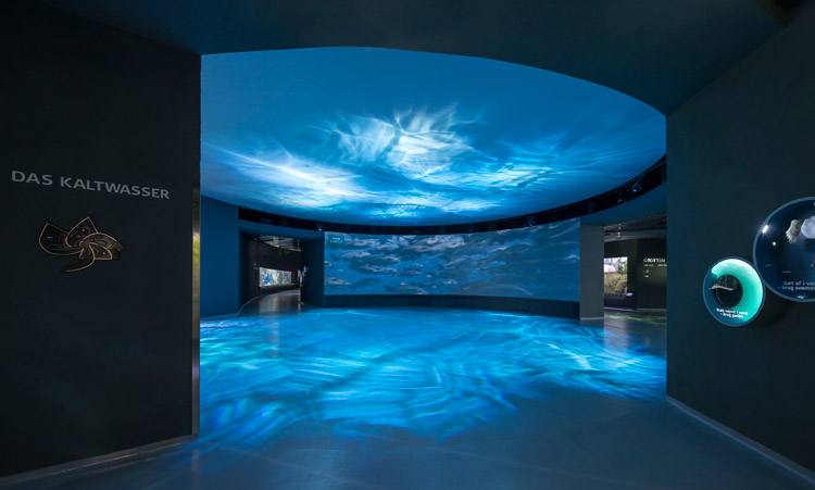 水族馆展厅设计分析 水族馆展厅设计分析